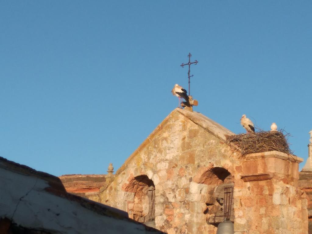 Apartamentos La Alborada Medieval Ayllón Buitenkant foto